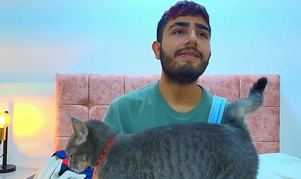 Ares Alpha online show from 5, 10, 2025