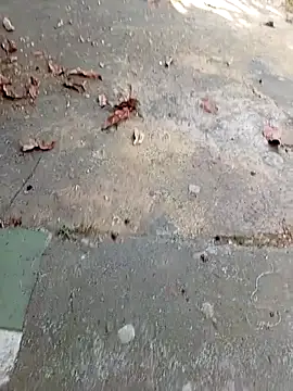 aquel boy xx online show from 27, 10, 2025