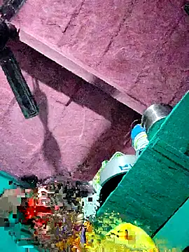 Pooja750 online show from 15, 10, 2025