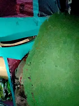 Pooja750 online show from 9, 11, 2025