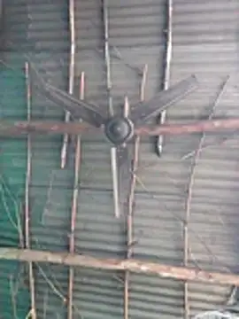 Pooja750 online show from 21, 12, 2025