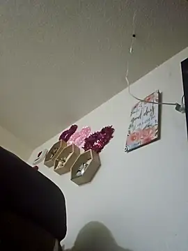 modest-mouse online show from 8, 1, 2026