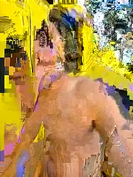 BindaasBong online show from 28, 2, 2026