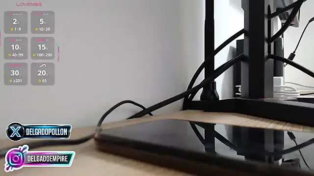 delgadopollon1991 online show from 27, 4, 2026