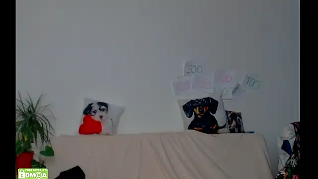 Snapshot of ZeinMiracles chatting on 17, 2, 2026 ZeinMiracles online show from 17, 2, 2026