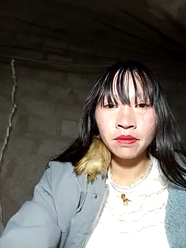 tcm-cute online show from 4, 12, 2025