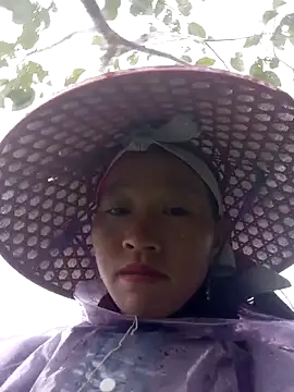 tcm-cute online show from 8, 11, 2025