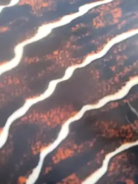 Idhika Handoo online show from 13, 2, 2026