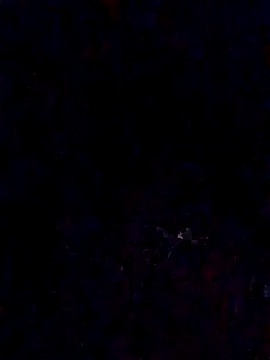 adiel3184xh online show from 21, 11, 2025