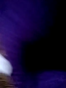 Payal950 online show from 13, 2, 2026