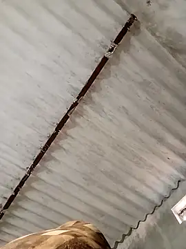 Payal950 online show from 7, 11, 2025