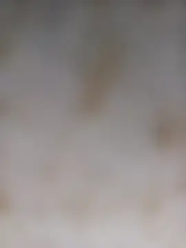 Payal950 online show from 5, 10, 2025