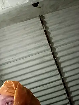 Payal950 online show from 8, 1, 2026