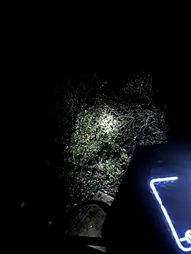 MODEST11 MMiILOO AMARO online show from 18, 11, 2025