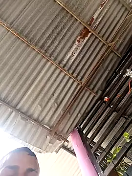 wwwww143 online show from 21, 11, 2025