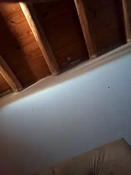 Rodriexequiel online show from 15, 11, 2025