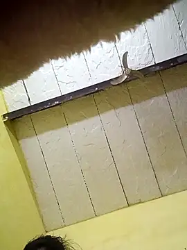 Seema guptaji online show from 15, 11, 2025