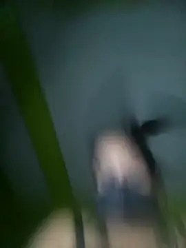 KITTUAAA online show from 5, 11, 2025