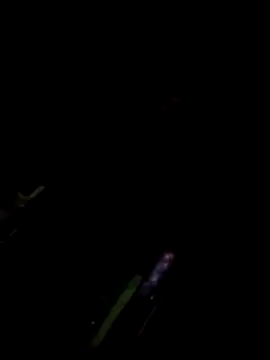 TSPRAJ0 online show from 15, 11, 2025