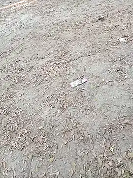 Snapshot of Dasdhon chatting on 18, 11, 2025 Dasdhon online show from 18, 11, 2025