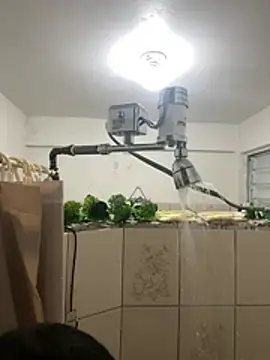 YadielPublic online show from 27, 2, 2026