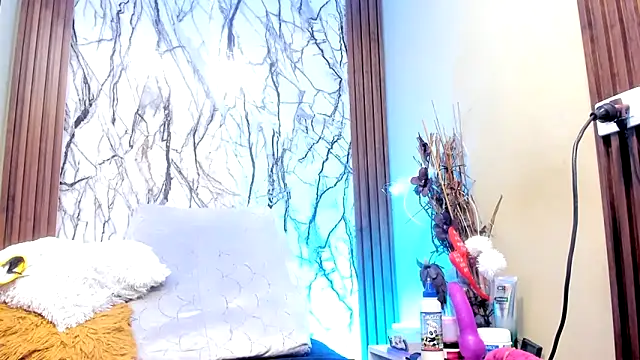 teilor dreamse online show from 26, 10, 2025