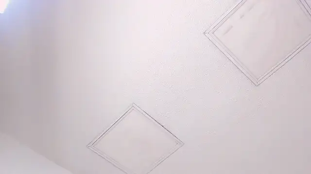 Tyler durten online show from 3, 2, 2026