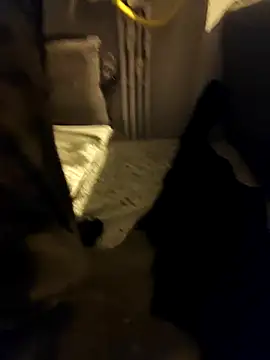 siadxh online show from 6, 2, 2026