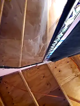 Eljilipoyas69 online show from 2, 12, 2025