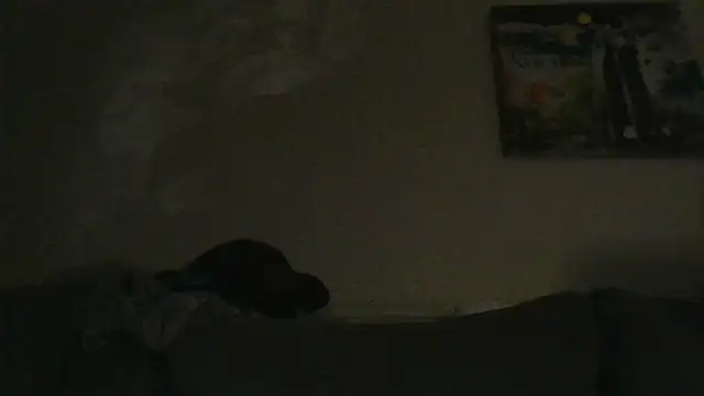 branletteur online show from 6, 10, 2025