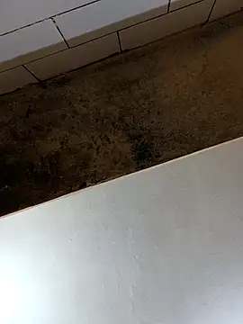 xyz-indian online show from 28, 10, 2025