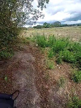 magraocam online show from 6, 11, 2025