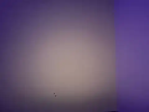 LustyDuoSecrets online show from 11, 11, 2025