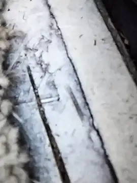 Jeremycle online show from 15, 10, 2025