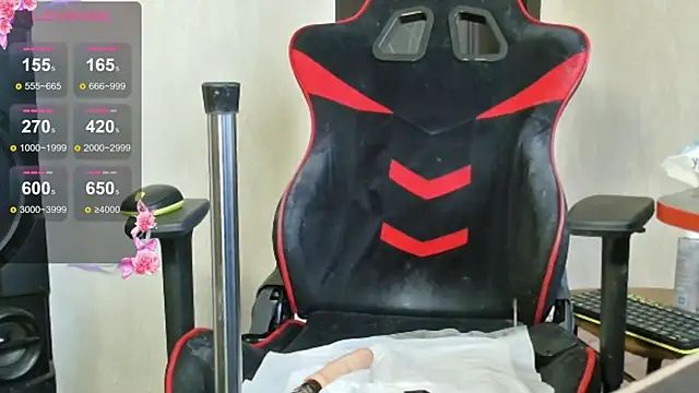 PrettyMegan online show from 11, 11, 2025