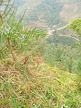 hera-00 online show from 11, 1, 2026