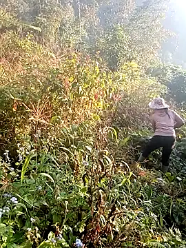 hera-00 online show from 19, 12, 2025