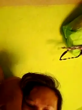 pussywet 08 online show from 31, 5, 2026