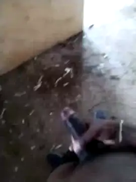 SK 21 online show from 24, 2, 2026