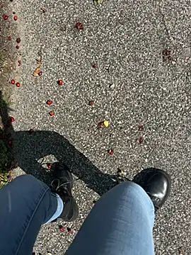 BabyLeopard online show from 29, 9, 2025