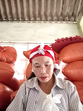 me-cute online show from 17, 11, 2025