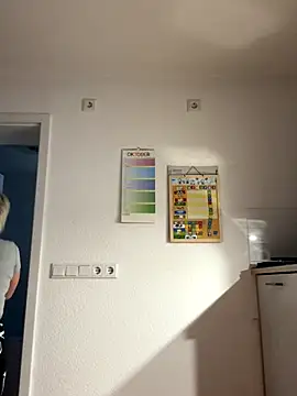 Rozendefotz online show from 15, 10, 2025