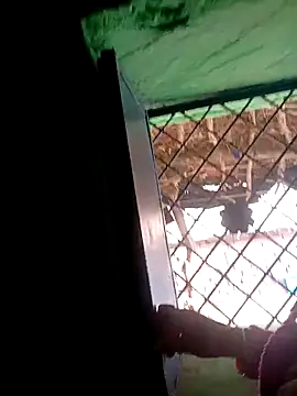 Manavi x online show from 15, 11, 2025