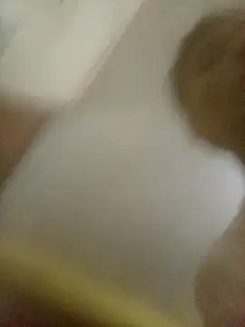 Bebicho14 online show from 8, 2, 2026