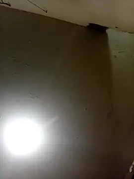 Bebicho14 online show from 17, 9, 2025