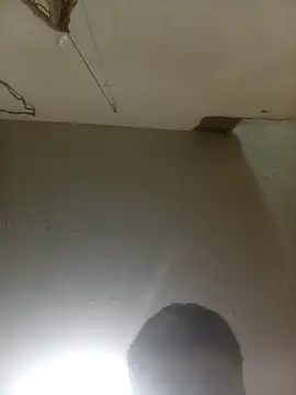 Bebicho14 online show from 18, 3, 2026