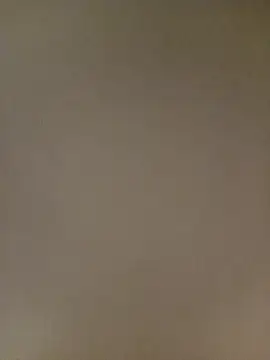 Bebicho14 online show from 13, 2, 2026