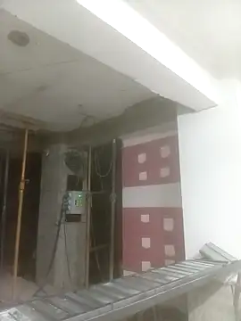 Bebicho14 online show from 19, 3, 2026