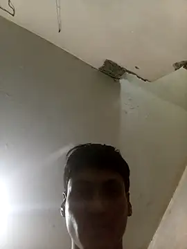 Bebicho14 online show from 26, 9, 2025