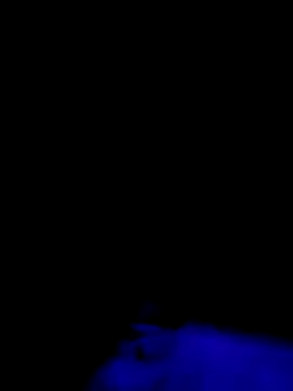 Jbames4567 online show from 21, 9, 2025